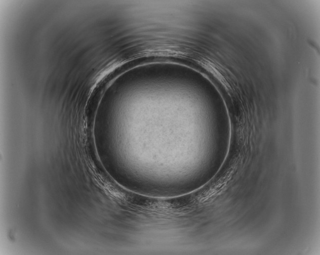 X0000098160971200804171554