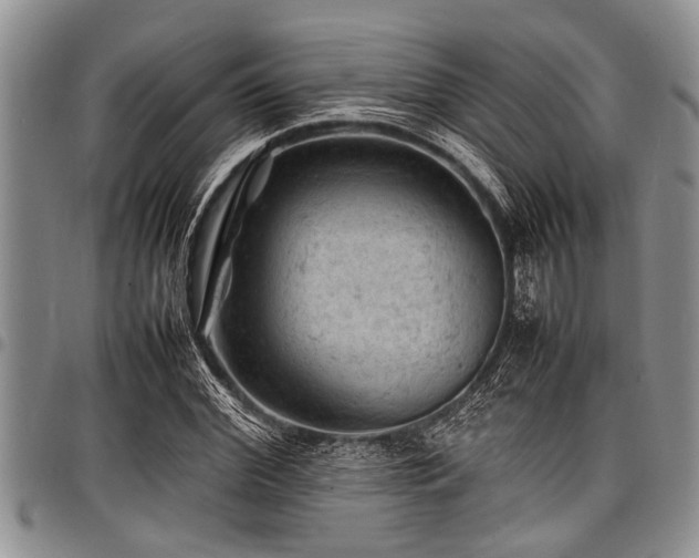 X0000098160972200804171554