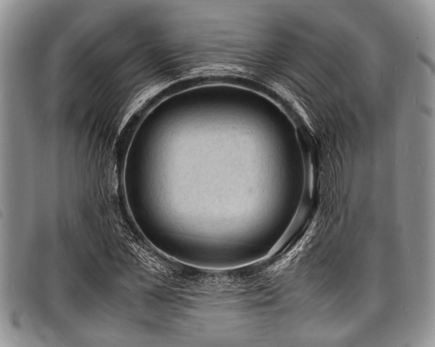 X0000098160973200804171554