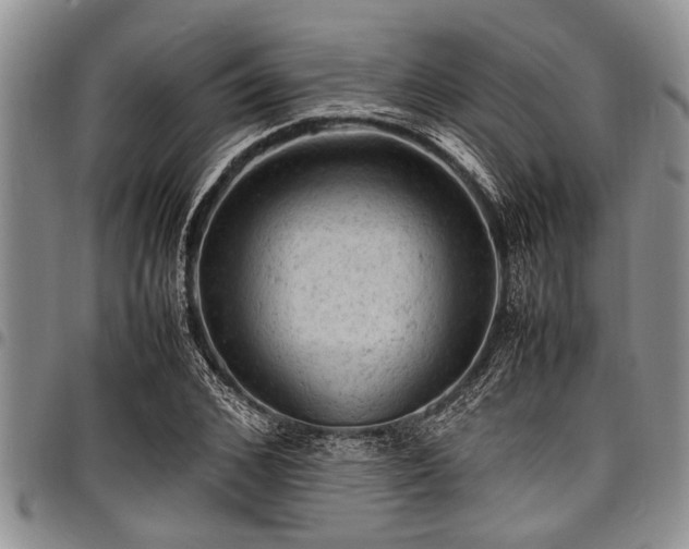 X0000098160976200804171554