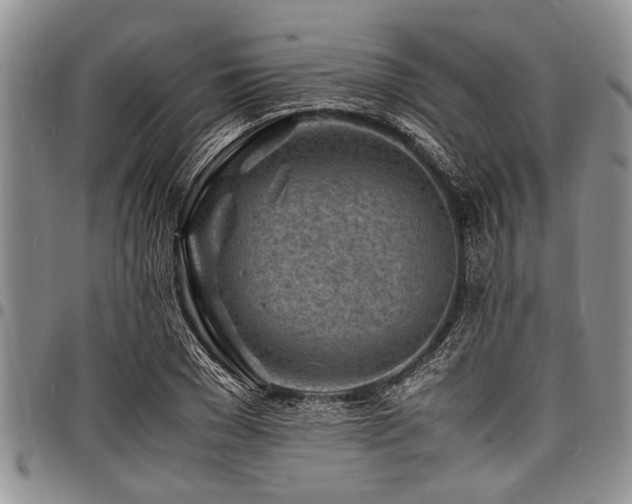 X0000098160977200804171554