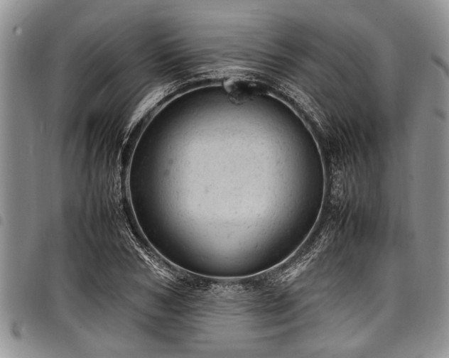X0000098160978200804171554