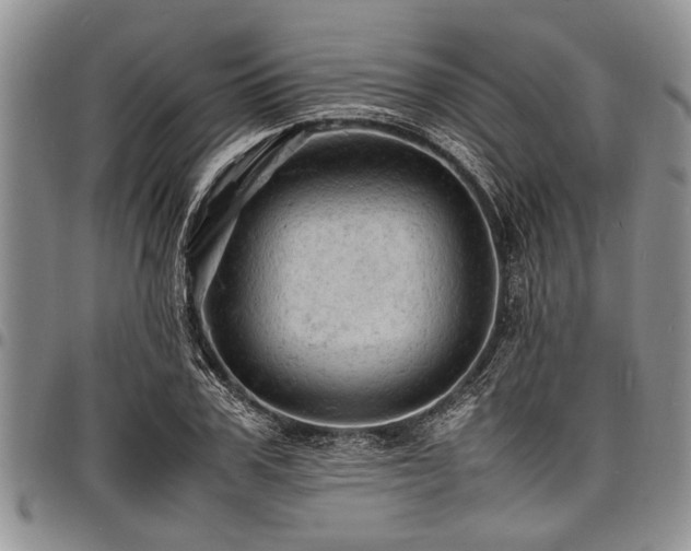 X0000098160979200804171554