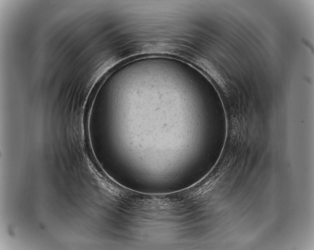 X0000098160980200804171554
