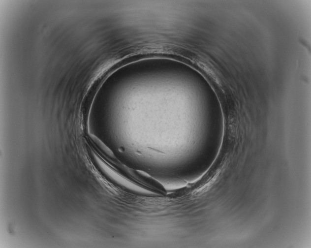 X0000098160981200804171554