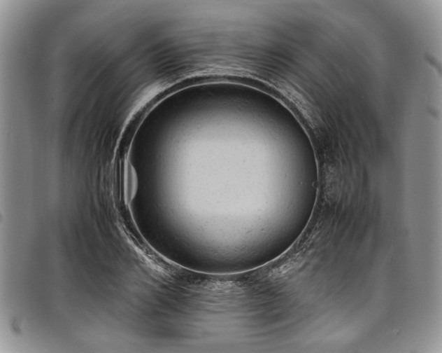 X0000098160982200804171554