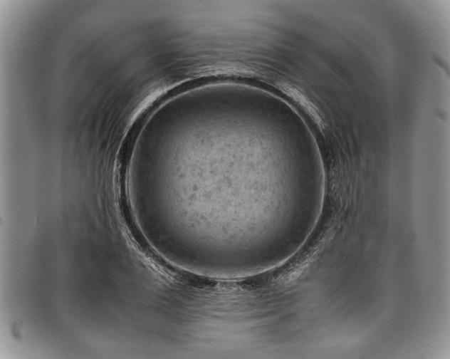 X0000098160983200804171554