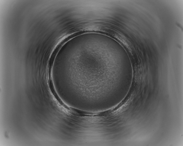 X0000098160984200804171554