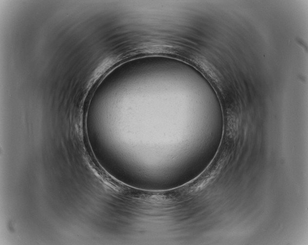 X0000098160986200804171554