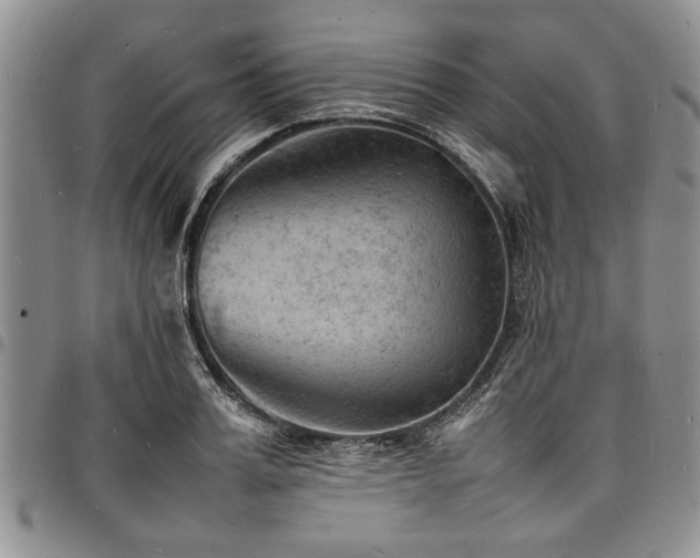 X0000098160987200804171554
