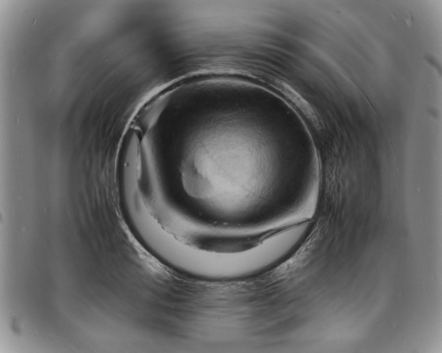 X0000098160988200804171554