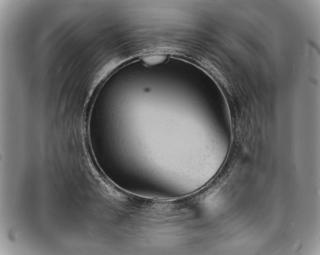X0000098160989200804171554