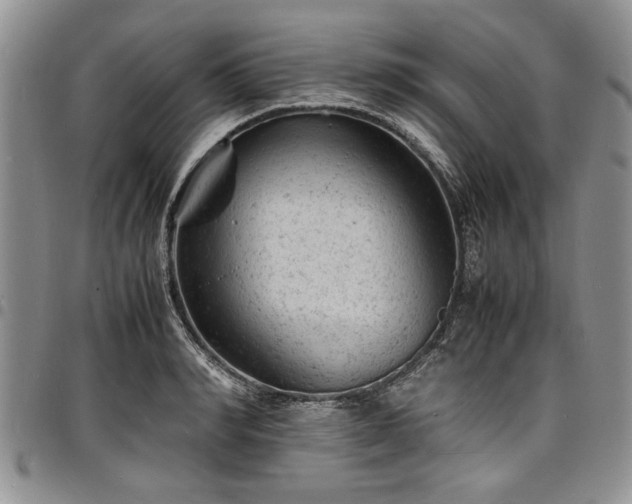 X0000098160990200804171554