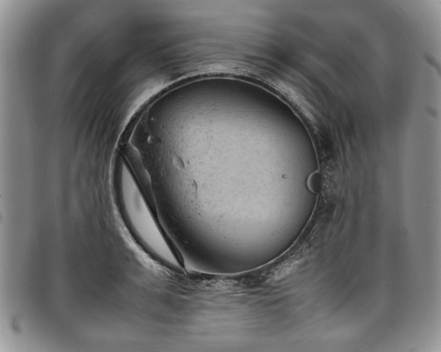 X0000098160991200804171554