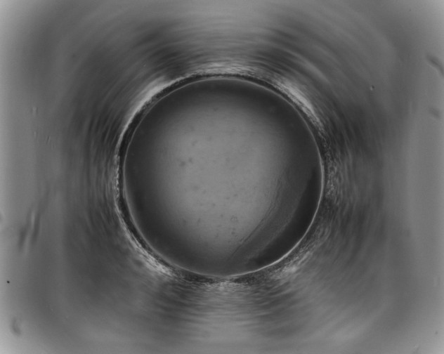 X0000098160992200804171554