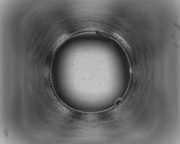 X0000098160993200804171554