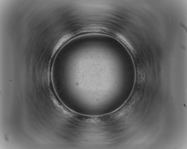 X0000098160994200804171554