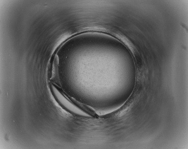 X0000098160999200804171554