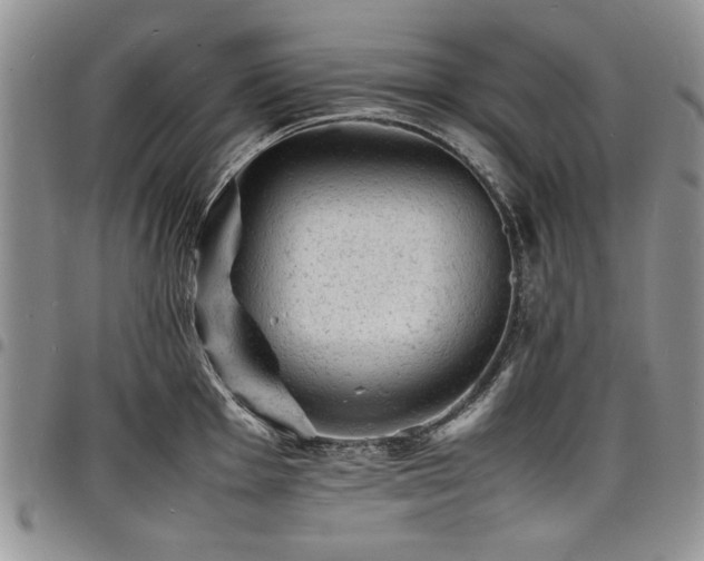 X0000098161001200804171554