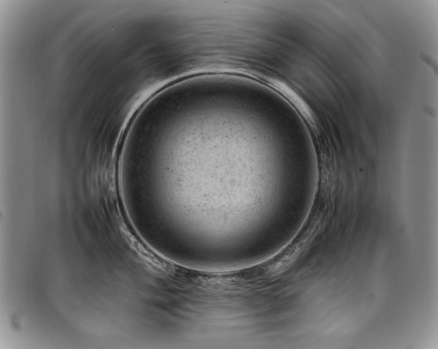 X0000098161004200804171554