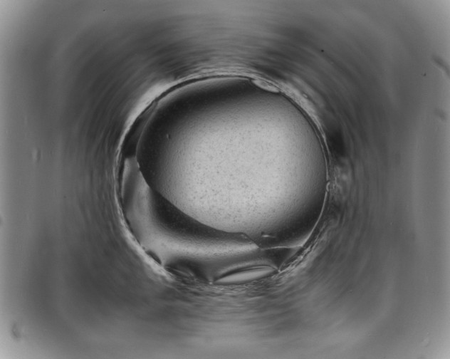 X0000098161005200804171554