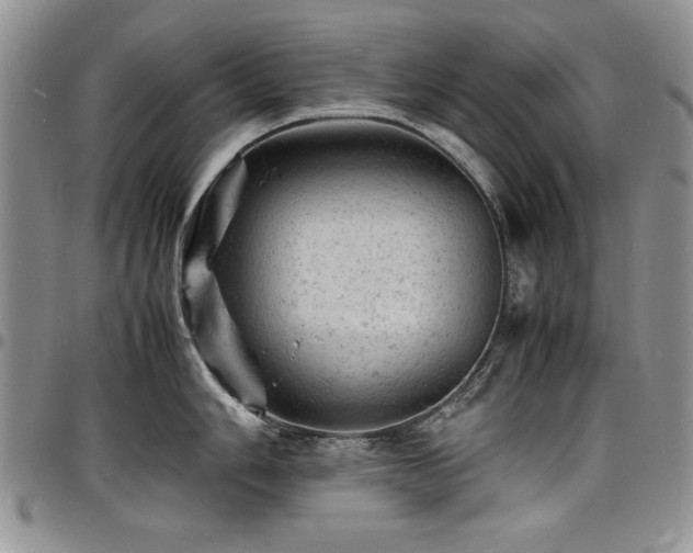 X0000098161006200804171554