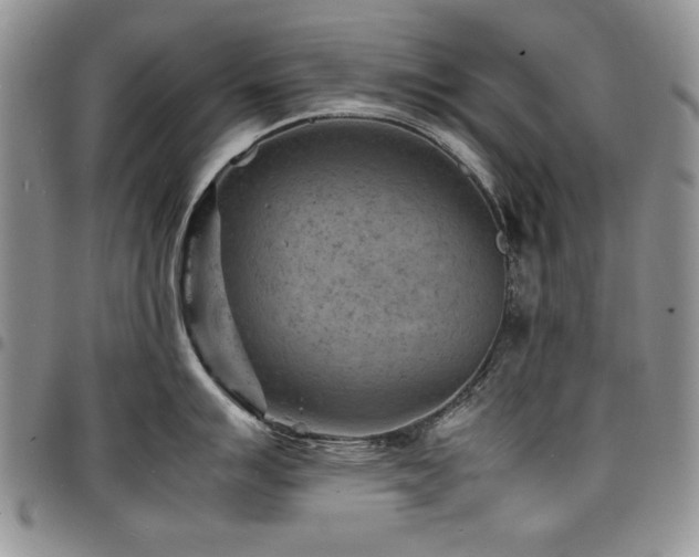 X0000098161007200804171554