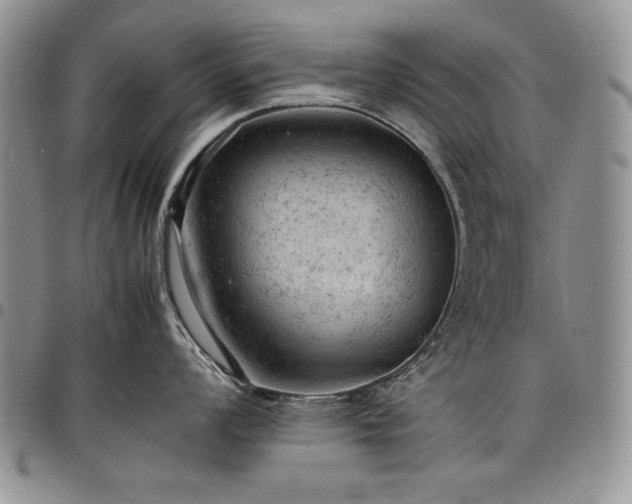 X0000098161008200804171554