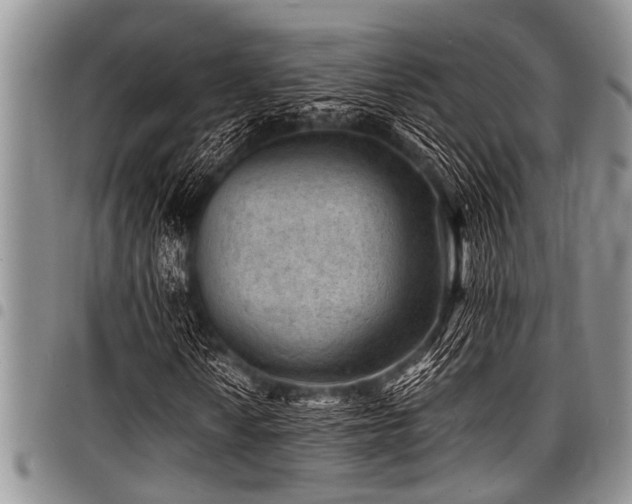 X0000098161010200804171553