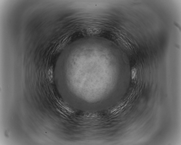 X0000098161011200804171553