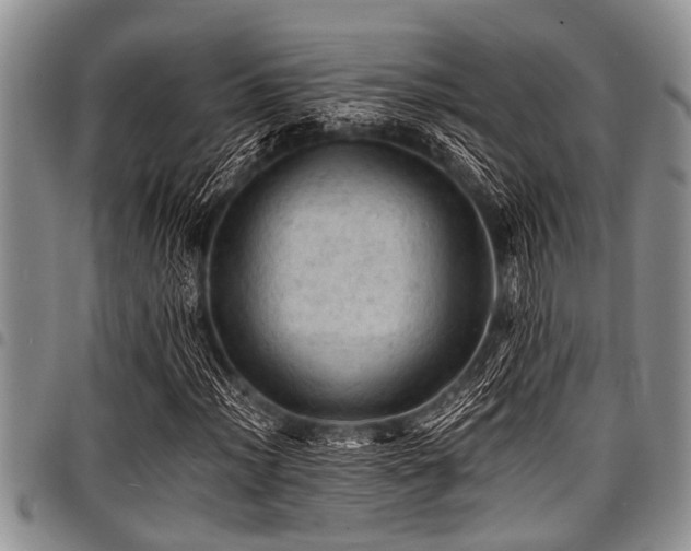 X0000098161012200804171553