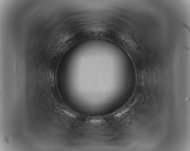 X0000098161013200804171553