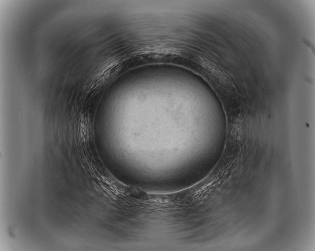 X0000098161014200804171553
