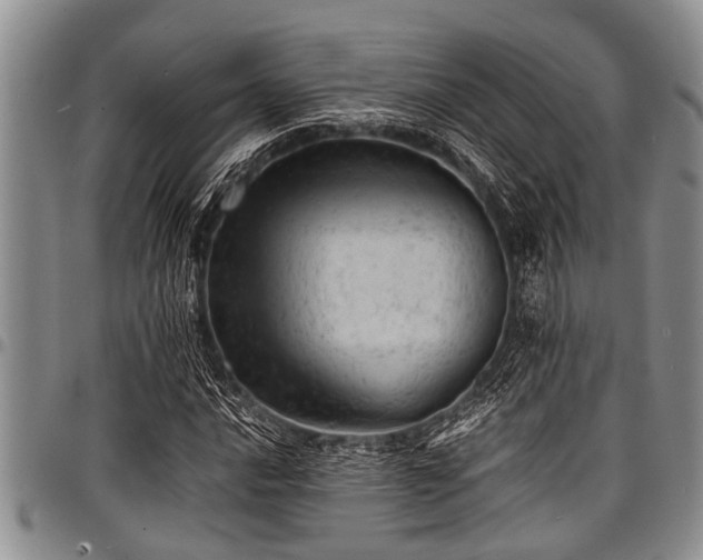 X0000098161016200804171553