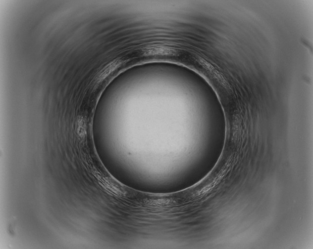 X0000098161017200804171553