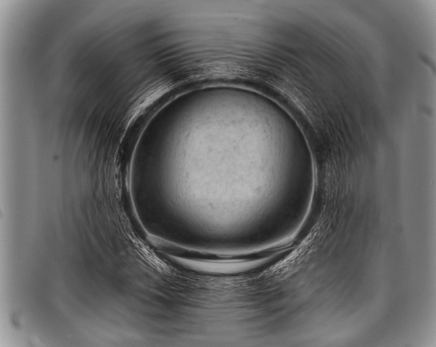 X0000098161018200804171553