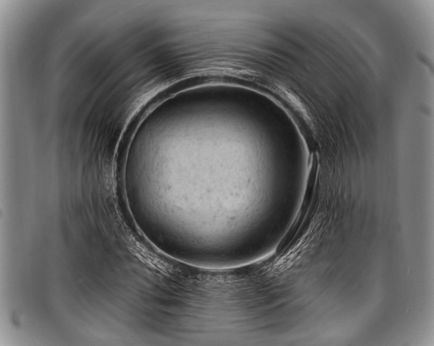 X0000098161020200804171553