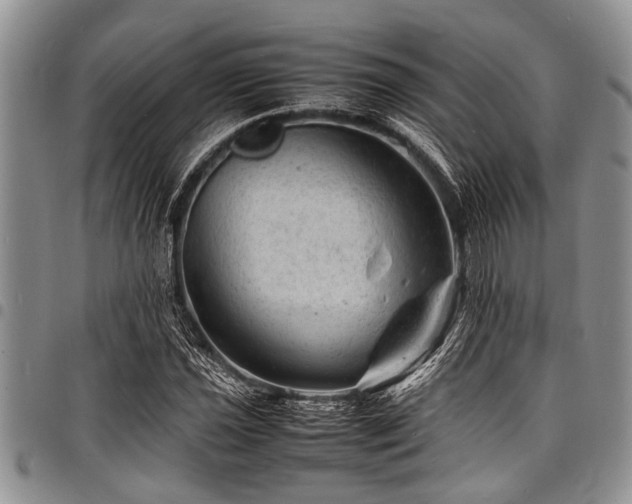 X0000098161021200804171553