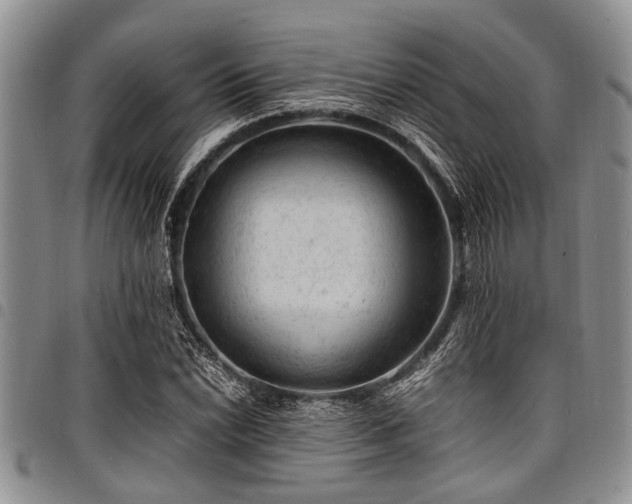 X0000098161022200804171553