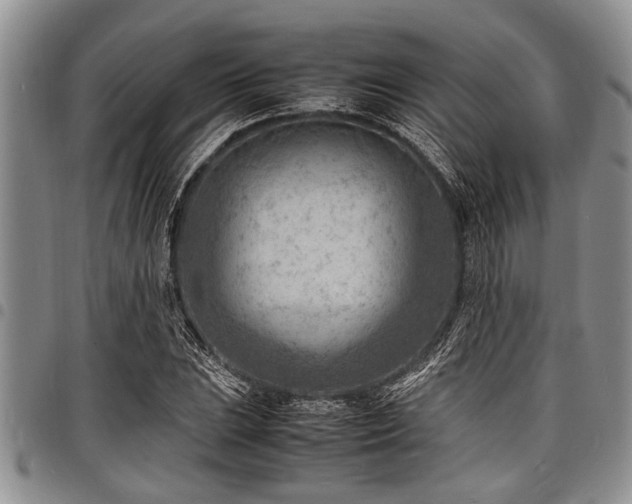 X0000098161023200804171553