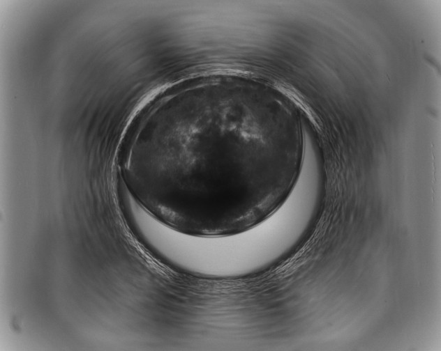 X0000098161024200804171553