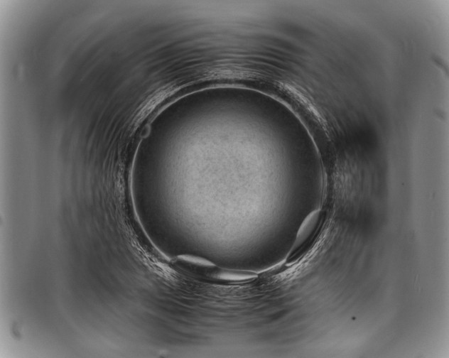 X0000098161025200804171553