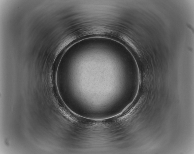 X0000098161026200804171553
