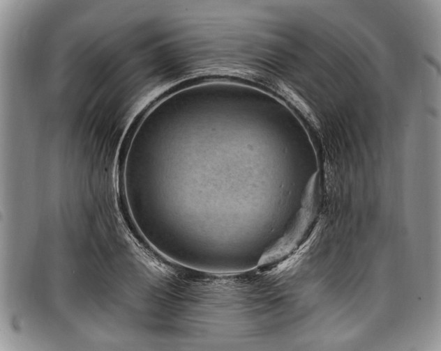 X0000098161028200804171553