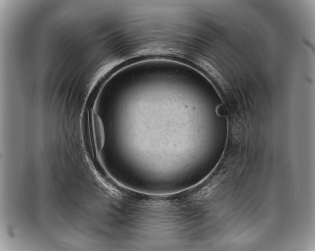 X0000098161030200804171553