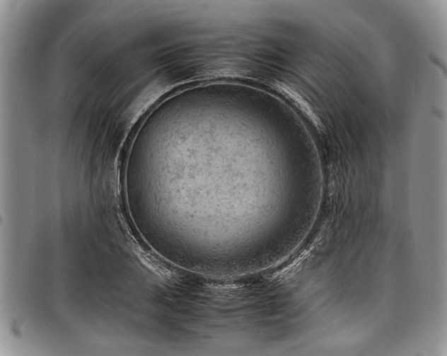 X0000098161031200804171553