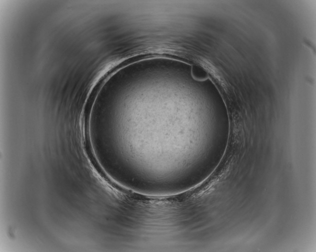 X0000098161032200804171553