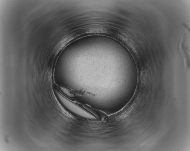 X0000098161033200804171553