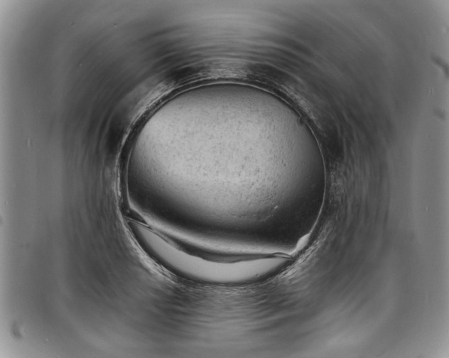 X0000098161034200804171553