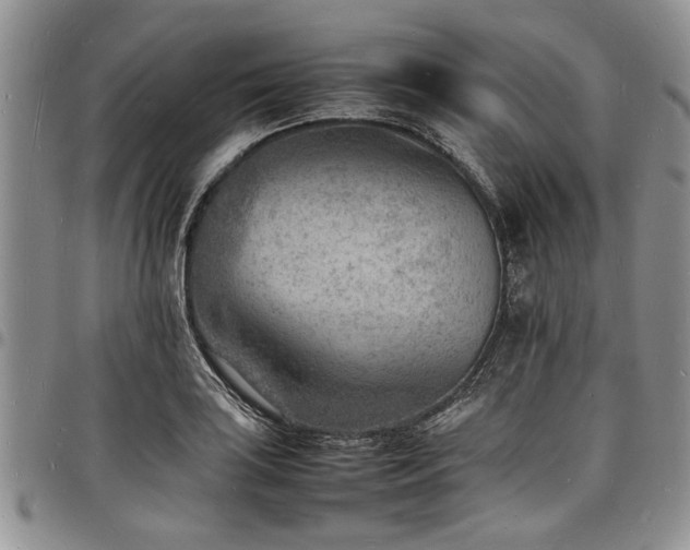 X0000098161035200804171553